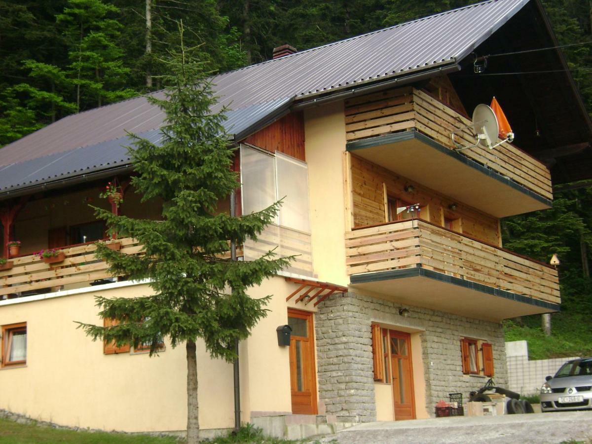 Apartment Medo Ravna Gora Exterior foto